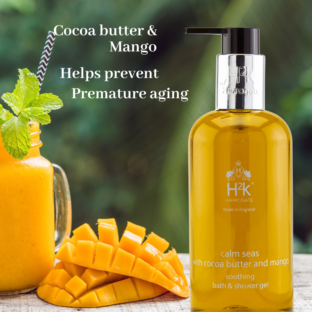 Cocoa Butter and Mango Hand and Body Wash