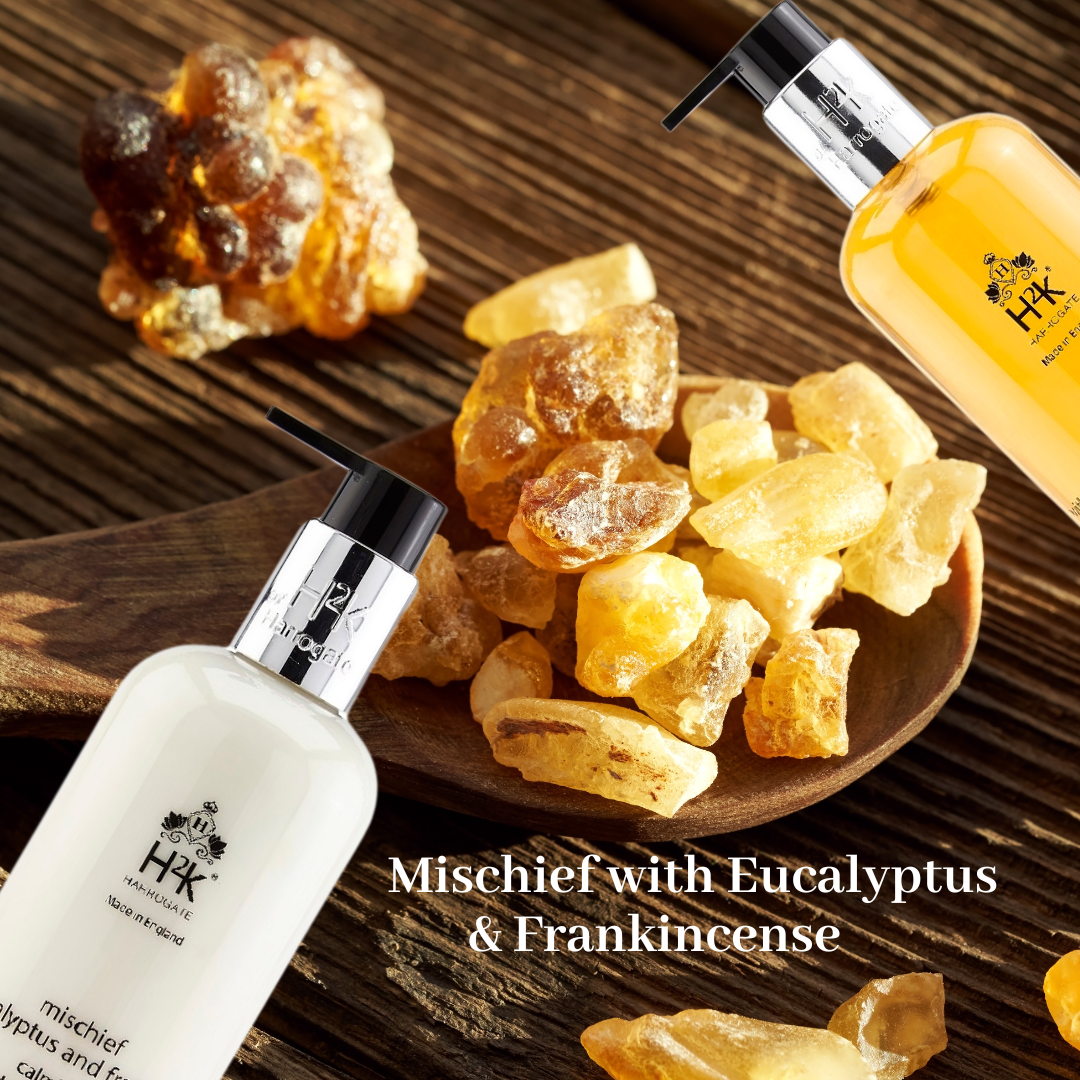 Frankincense Fine Liquid Hand Care Gift with Natural Eucalyptus